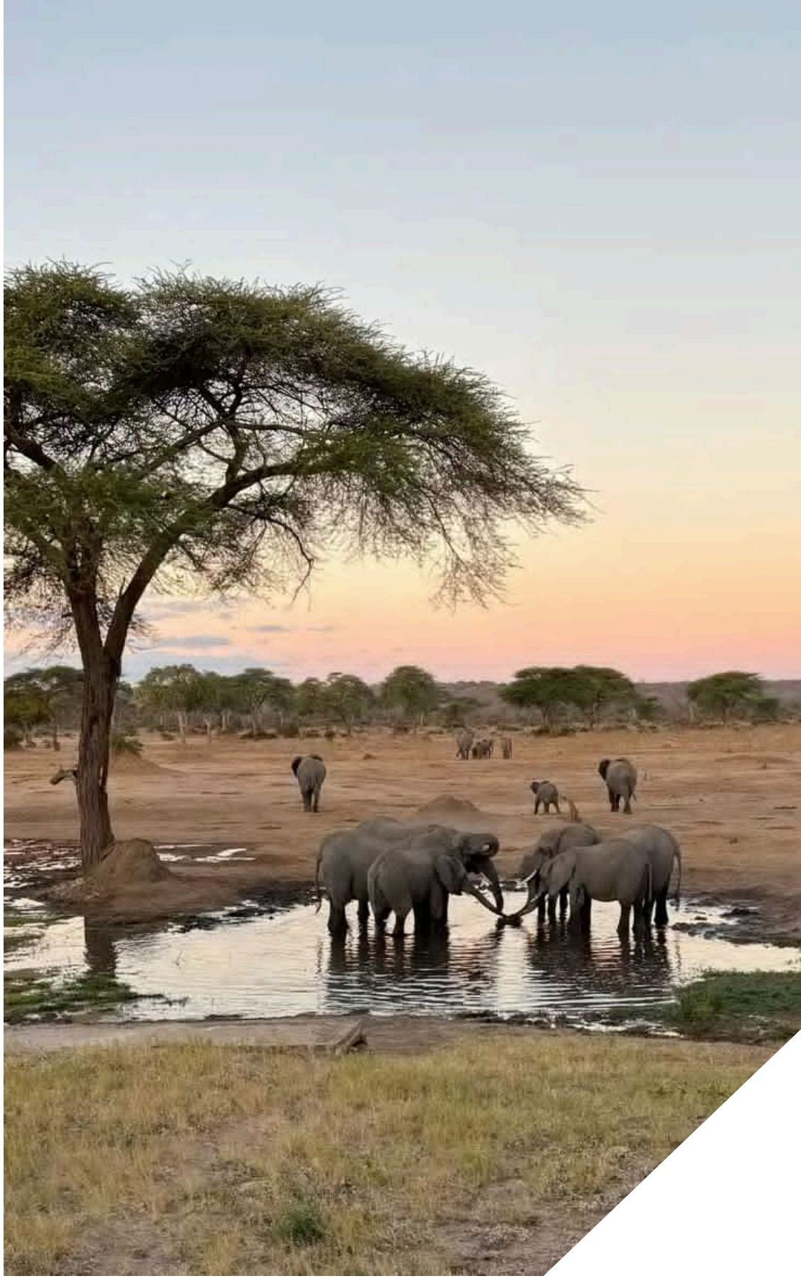 Tourism Storytelling